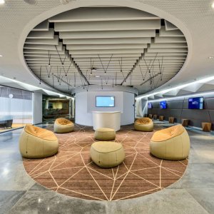 Многогранность